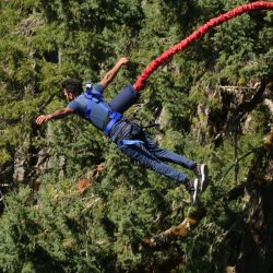 A man experiences the thrill of bungee jumping over a forest, showcasing adventure and excitement.